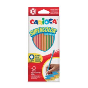 PASTELLI COLORATE 12PZ